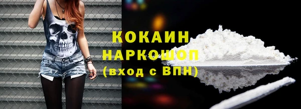 PSILOCYBIN Аркадак