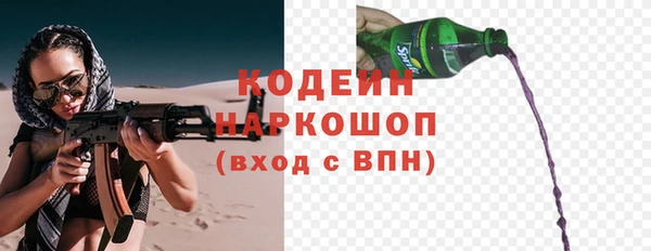 шишки Баксан
