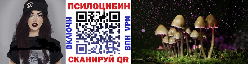 Псилоцибиновые грибы Psilocybe  площадка состав  Покачи 